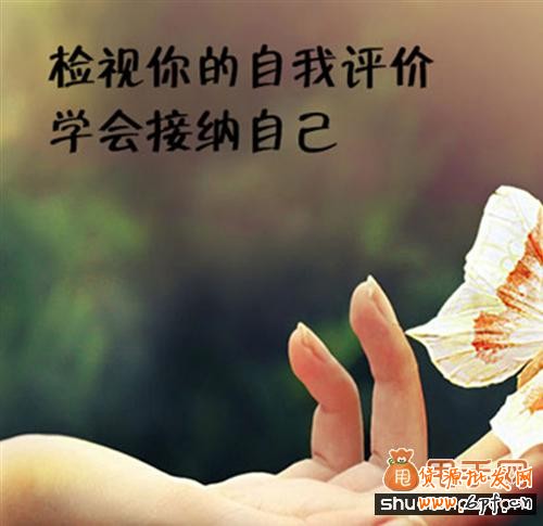 分析買家評價提高營銷效果你會么? 