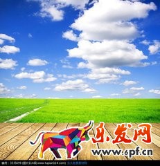 什么是淘寶主圖