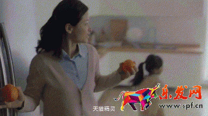 淘寶主圖視頻 淘寶主圖視頻